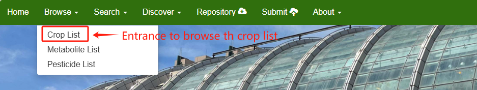 Responsive image